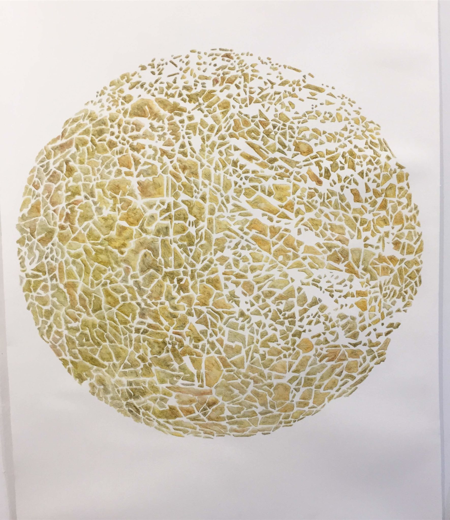 drawing watercolor graphite crumpled paper art by Matthew Whitney